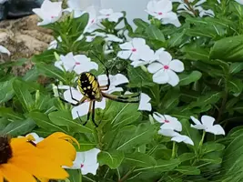 20190912_074104.webp