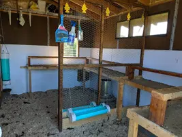IMG_20190917_152919.webp