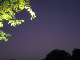 20190918_055628.webp