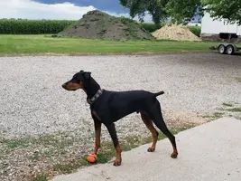 20190805_165536.webp