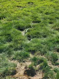 20191019_151538.webp