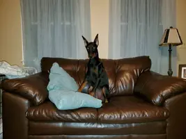 20191107_054826.webp