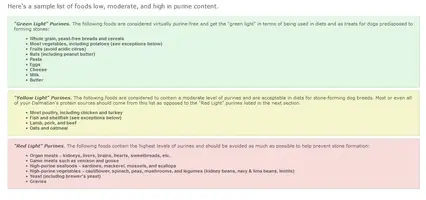 Purine.webp