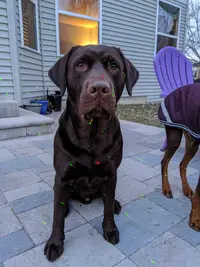 IMG_20191220_163426.webp