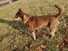 20191222_093826.webp