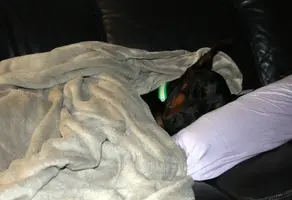 Head on pillow under wubbie Dec 19 19.webp