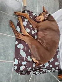 20191229_125435.webp