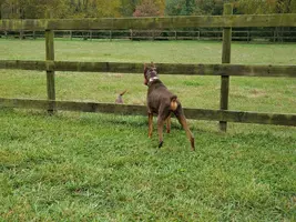 20191029_131944.webp