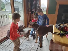 20191123_150741.webp