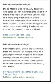 blood meal.webp