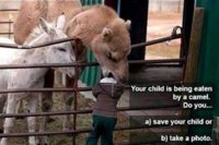 camel eating child.jpg