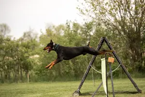 0221CFBB-F753-44A5-A930-9C7DDAA90F3A.webp