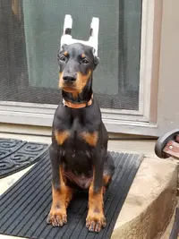 20190928_170640.webp