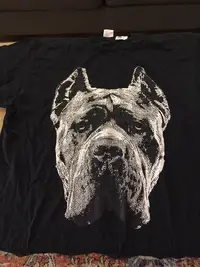 TshirtCorso.webp