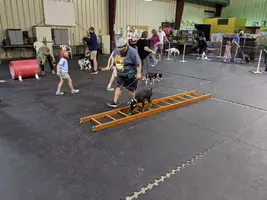 MVIMG_20200914_191234_resize_57.webp MVIMG_20200914_191234_resize_57.webp