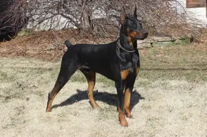 RS_AJ-190323-Cropped 4x6.webp