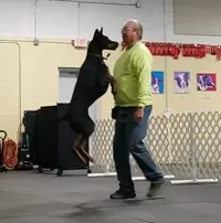 AJ Jumping New Years Day 2021.webp