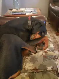 20210123_065618.webp