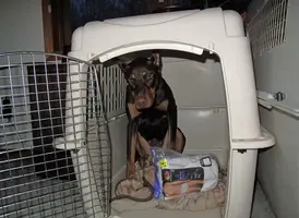 In crate with package of underwear Feb 1 21.webp