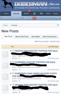 Screenshot_20210213-055236~3.webp