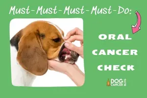 Oral-Cancer-DCB.webp