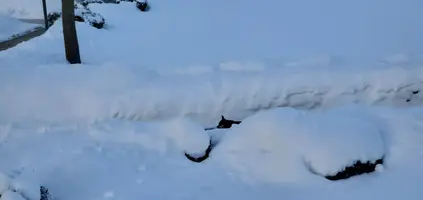 20210218_074318.webp