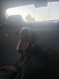 20210421_073007.webp