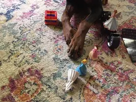 GBpawsWtoys.webp