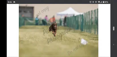 Screenshot_20210526-204630.webp