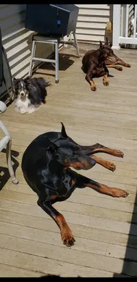 Screenshot_20210605-110540_Gallery.webp