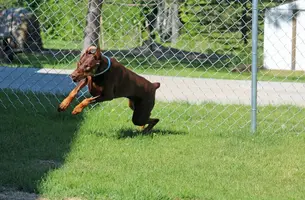 Running front angle June 2 21.webp