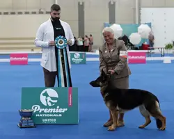 Kathy and GSD at UKC Premier 2021.webp