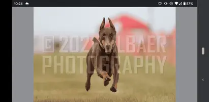 Screenshot_20210626-222406.webp