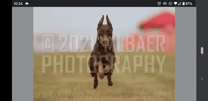 Screenshot_20210626-222437.webp