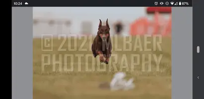Screenshot_20210626-222446.webp