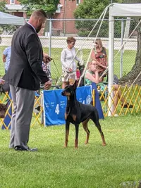 PXL_20210709_175952428.webp