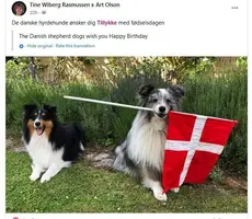 Danks Shelties - Happy Birthday 2021 in Dansk.webp