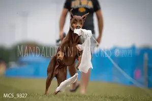 1631884016986.webp