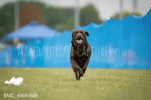1631884267529.webp