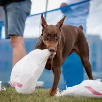 IMG_20210917_191328_142.webp