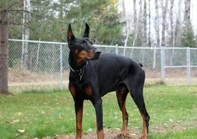 Standing front angle looking up Oct 22 21.JPG