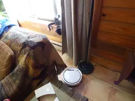 P1340366.webp