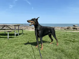 tempImagen9kl9M.webp