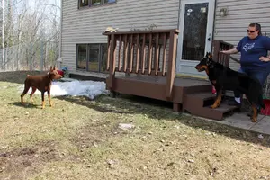 Phoebe and Selleck doing a stare down May 4 22.webp