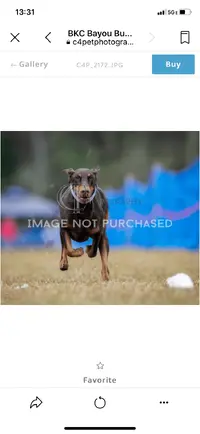 097C50D3-2957-4DB4-95A0-772A4BA52D70.webp