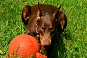 _DSC1216 (2).webp