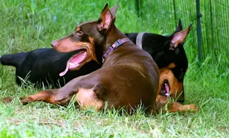 _DSC2283 (2).webp