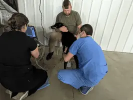 1654273075178.png