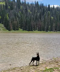 20220606_124941.webp