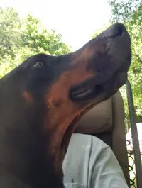 AJ Selfie.webp